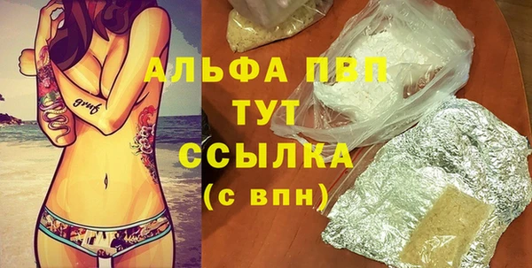гидра Коряжма