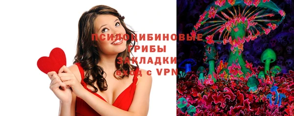 spice Алексин