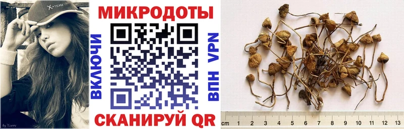Псилоцибиновые грибы GOLDEN TEACHER Пласт